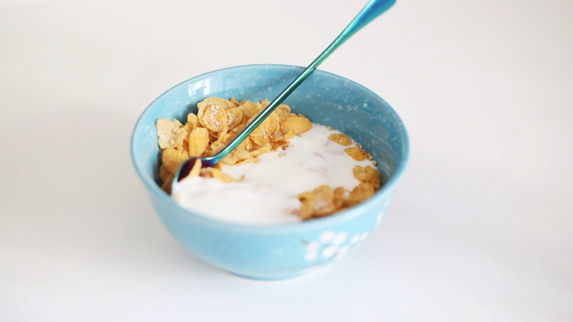 Cereal Yogurt Bowl - Cereal Breakfast