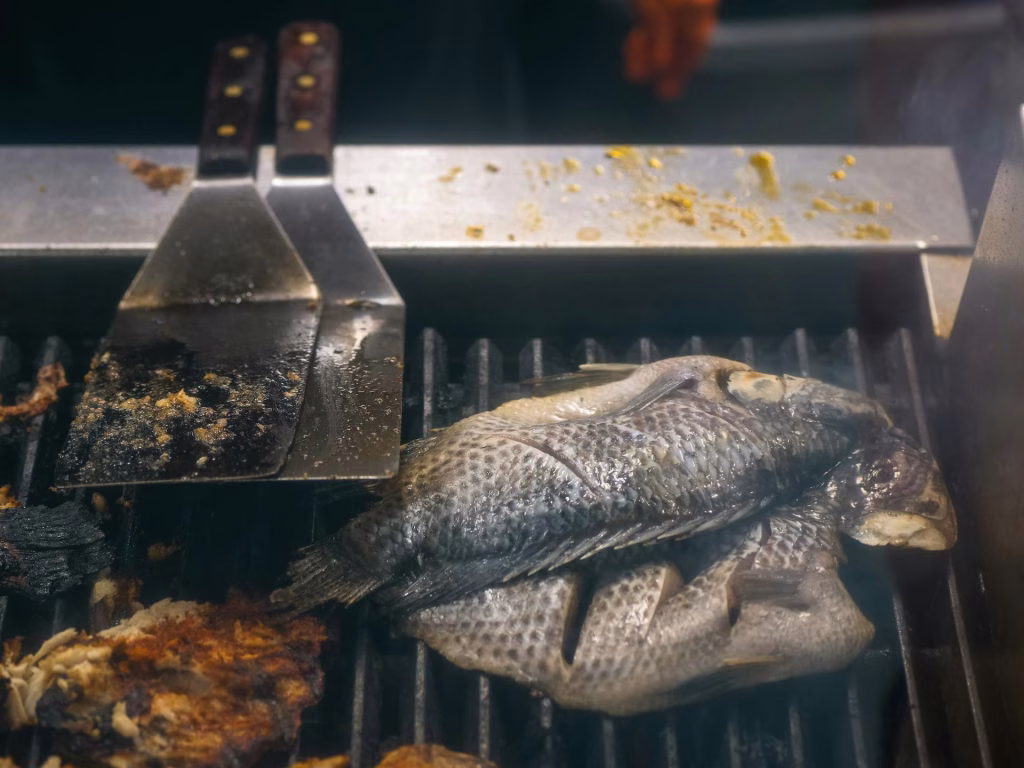 Grilled Tilapia