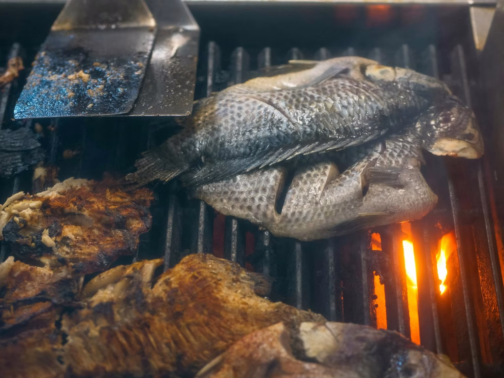 Grilled Tilapia
