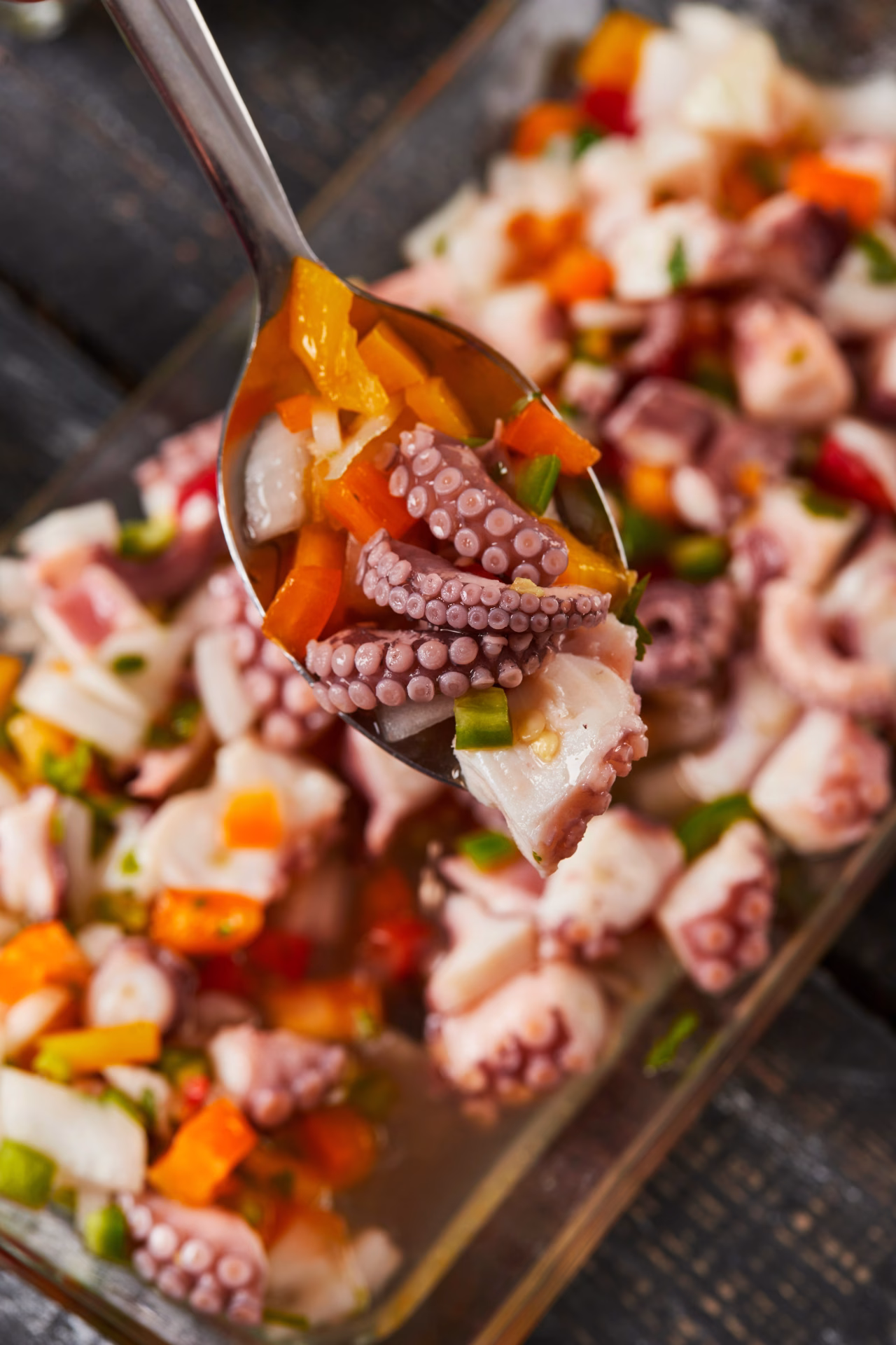 Octopus Salad